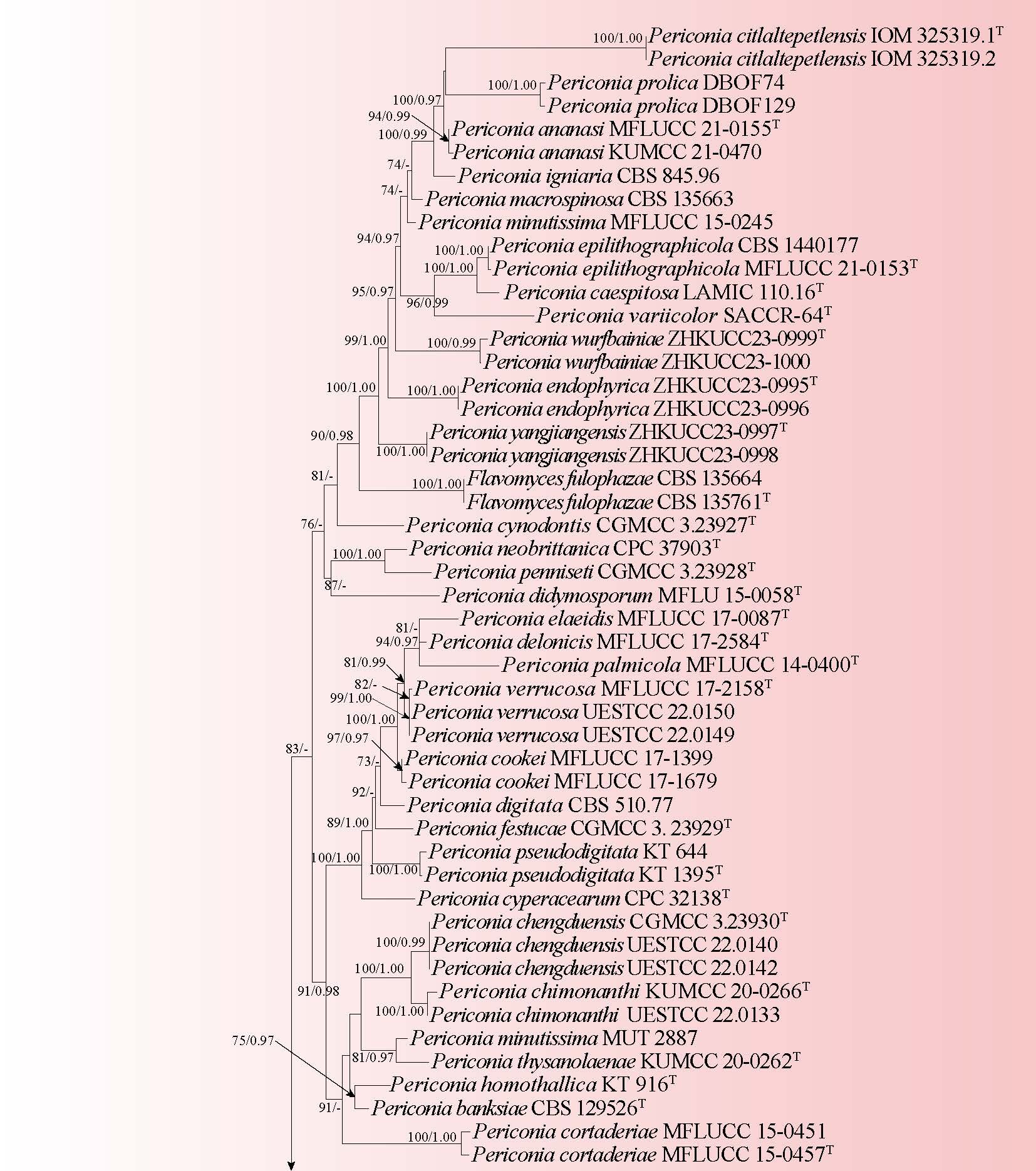 Figure 12
